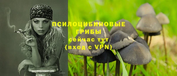 молекула духа Беломорск