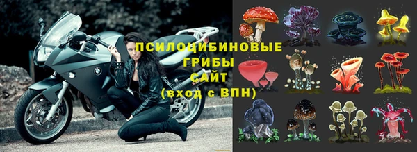 MDMA Premium VHQ Белоозёрский