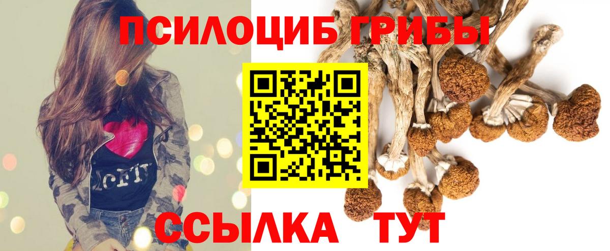 Псилоцибиновые грибы Cubensis Верхняя Пышма